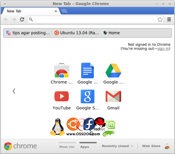 Google Chrome Installation on Ubuntu 13.04
