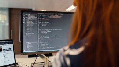 software delivery lifecycle